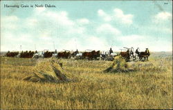 Harvesting Grain in North Dakota Postcard Postcard