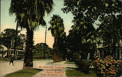 St. Charles Avenue Showing the Palm District New Orleans, LA Postcard Postcard