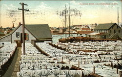 Drying Fish Postcard