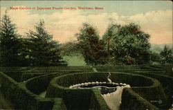 Maze Garden or Japanese Puzzle Garden Waltham, MA Postcard Postcard