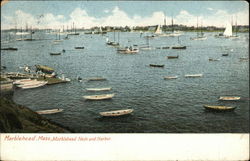 Marblehead Neck and Harbor Postcard