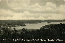 A Bird's Eye View of Spot Pond Postcard