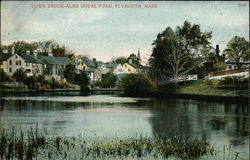 Town Brook - Alms House Pond Postcard