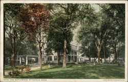 The Maplewood, Pittsfield, Mass Postcard