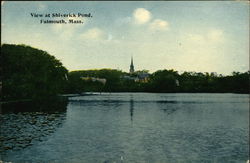 View at Shiverick Pond Postcard