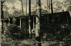 Log Cabin, Pine Banks Park Malden, MA Postcard Postcard