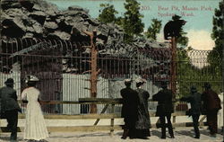 Bear Pit, Manito Park Postcard