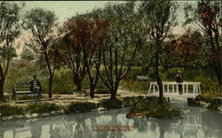 Lily Pond, Soldiers and Sailors Park Erie, PA Postcard Postcard