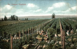 An Oregon Hopfield Postcard