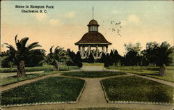 Scene in Hampton Park Charleston, SC Postcard Postcard