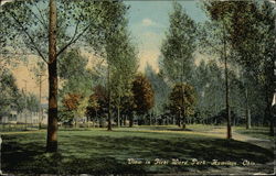 View in First Ward Park Hamilton, OH Postcard Postcard