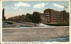 Remington Arms and Ammunition Company Postcard