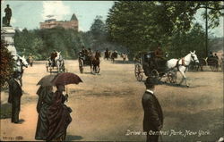 Drive in Central Park Postcard