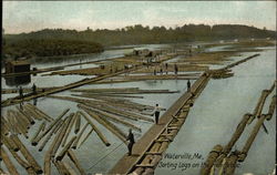 Sorting Logs On The Kennebec Postcard