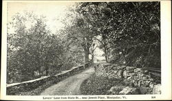 Lovers' Lane from State Street, near Jewett Place Montpelier, VT Postcard Postcard