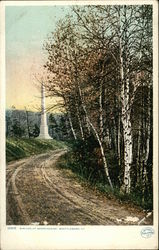 Birches at Morningside Brattleboro, VT Postcard Postcard