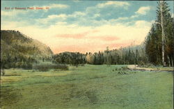 Bed of Runaway Pond Glover, VT Postcard Postcard