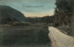 Runaway Pond Looking North Glover, VT Postcard Postcard