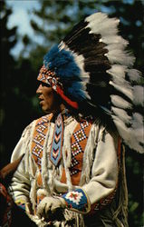 A North American Indian in Traditional Head-Dress Postcard