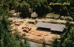 Cazadero, Calif California Postcard Postcard