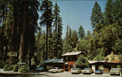 Elim Grove Resort Cazadero, CA Postcard Postcard