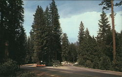 Scenic Mountain Highway, Pinecrest and Strawberry, California Postcard Postcard