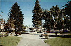 The Healsburg Plaza Healdsburg, CA Postcard Postcard