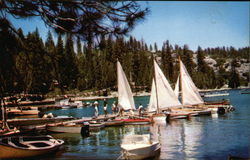 Sailboats at Pinecrest Lake Postcard