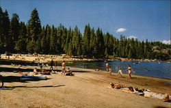 Beach at Pinecrest Lake California Postcard Postcard