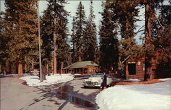 Kings Canyon National Park, California Postcard