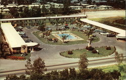 Town & Country Motel Fort Lauderdale, FL Postcard Postcard