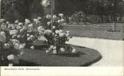 Minnehaha Park Minneapolis, MN Postcard Postcard