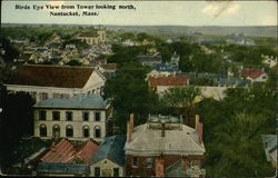 Birds Eye View from Tower Looking North Postcard