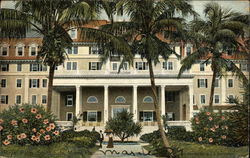 Royal Palm, South Side Miami, FL Postcard Postcard