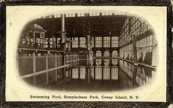 Swimming Pool, Steeplechase Park Postcard