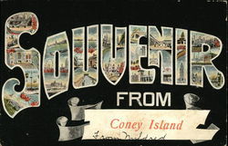 Souvenir from Coney Island Postcard