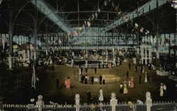 Steeplechase Park Coney Island, NY Postcard Postcard