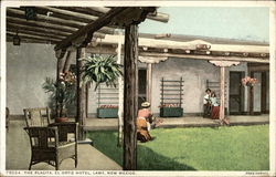 The Placita, El Ortiz Hotel Postcard