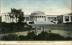 Albright Art Gallery - Elmwood Front Buffalo, NY Postcard Postcard