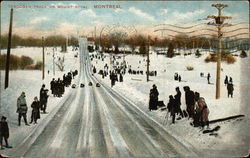 Toboggan Track on Mount Royal Montreal, QC Canada Quebec Postcard Postcard