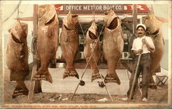 World's record catch of sea bass Santa Catalina Island, CA Postcard Postcard