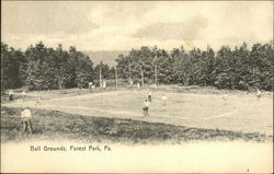 Ball Grounds Forest Park, PA Postcard Postcard