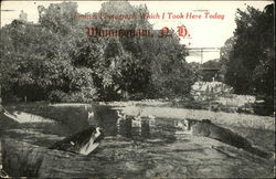 Winnisquam, N.H New Hampshire Postcard Postcard