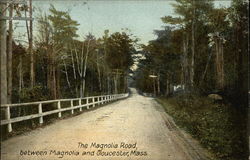 Scenic View of The Magnolia Road Postcard