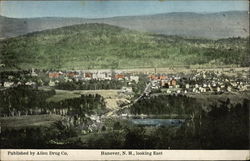 View of Town Looking East Postcard