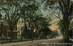 Looking Up Elm Street Postcard