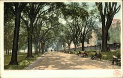 Beacon Street Mall Postcard