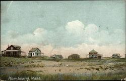 Plum Island, Mass Postcard