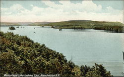 Massabesic Lake Looking East Postcard