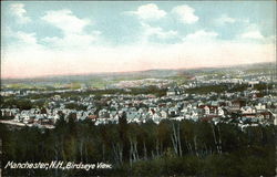 Birdseye Biew Postcard